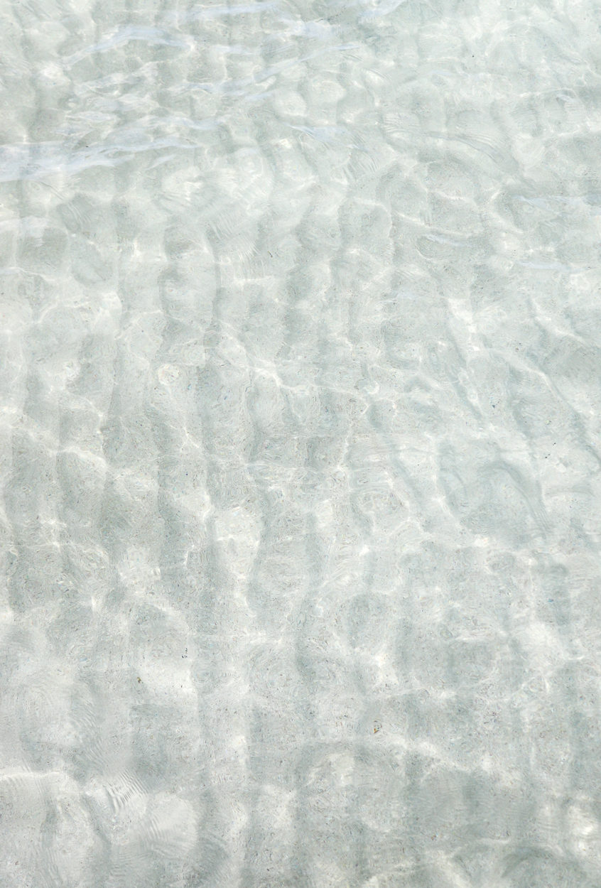 cleo collective - banner